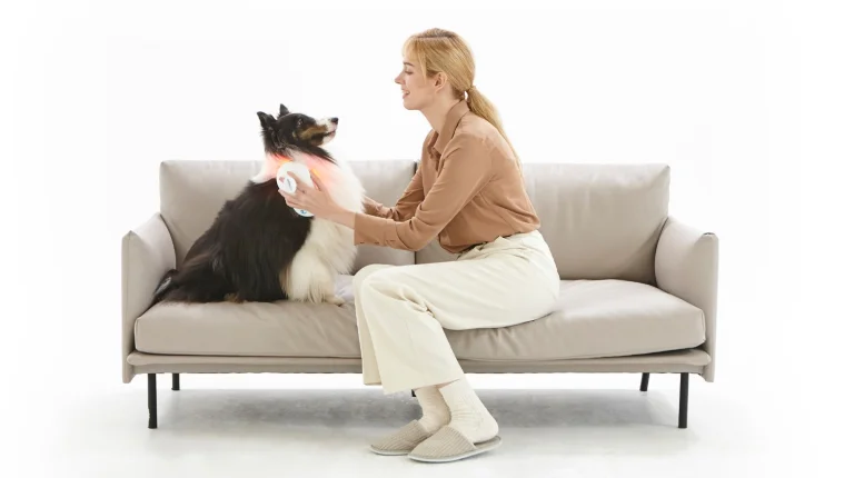 Lichttherapie voor je hond en kat